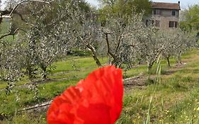 I Vigneti Bed & Breakfast