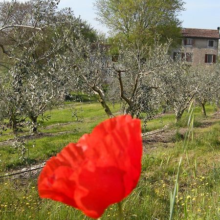 I Vigneti Bed & Breakfast Salionze Buitenkant foto
